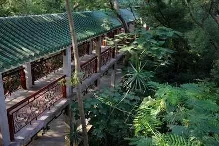 深圳东湖公园门票多少,深圳东湖公园要门票吗