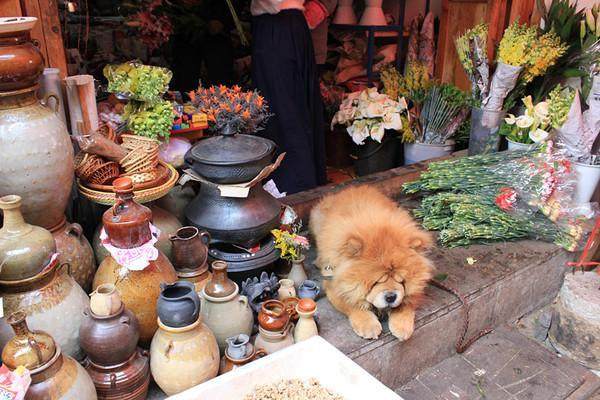 广州出发穷游15天攻略,旅行攻略国内穷游三天三夜