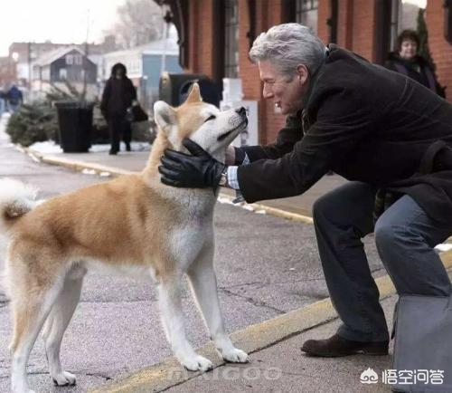 每日推荐10部经典电影,只推荐一部电影
