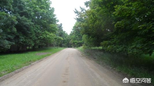 閬撳痉鐜勫浣涙硶寰,閬撳痉鐜勫