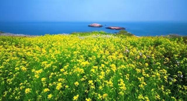 省下机票钱！杭州周边8个美到窒息的蔚蓝海岛，路费100+就能享受沙滩、海浪……完全不输国外！走起~