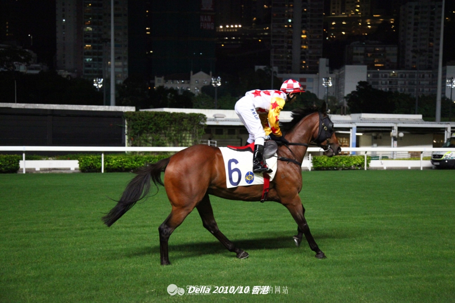 香港跑马地现场直击赛马