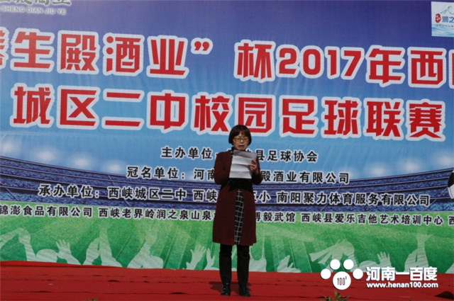 西峡养生殿足球队,西峡县体育足球比赛