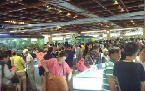 泰国人来中国惊呆了,震惊泰国人的中国场面