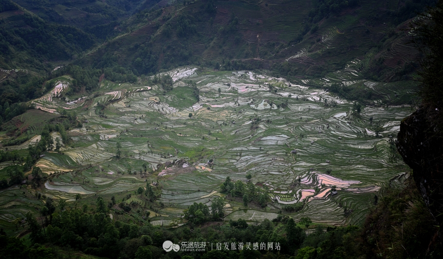 元阳梯田十二庄园香典民宿,元阳梯田世外桃源