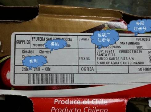 智利成进口水果第一来源地在国内你能吃到哪些智利水果｜关注