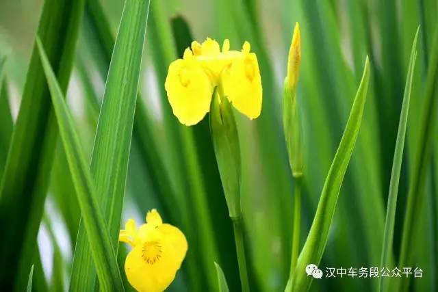 微微一调有变化：汉中车务段管内主要车站最新列车时刻