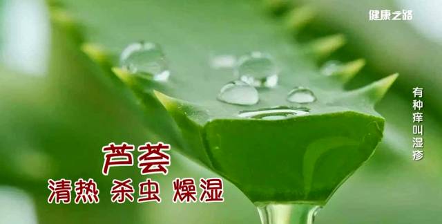 健康之路中医治痛有妙招,健康之路小经方大智慧