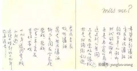 琼瑶简单而纯粹的爱情,琼瑶20年前的一句叹息