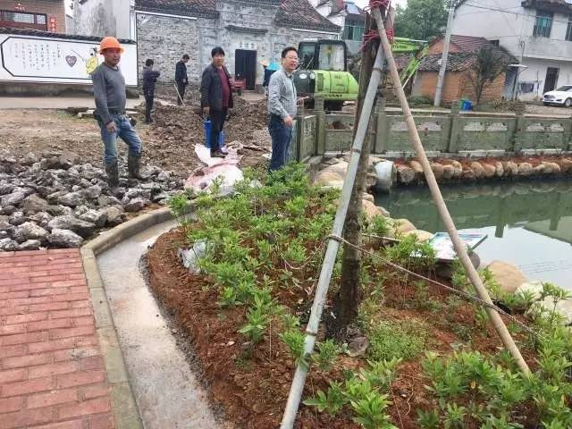 今日开发区最新消息,图说今日开发区