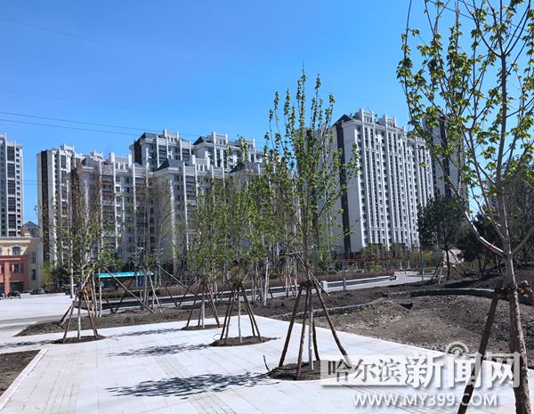 群力主题公园推荐,群力带芦苇荡的公园