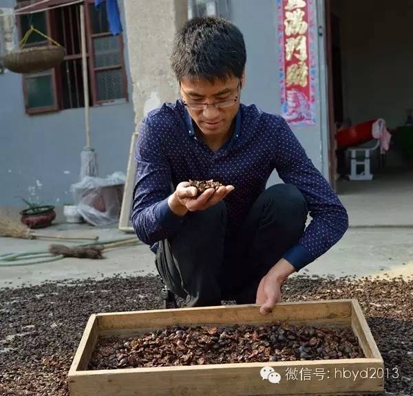 虫子卖到百元一斤,农村常见的虫子现在卖3000元一斤