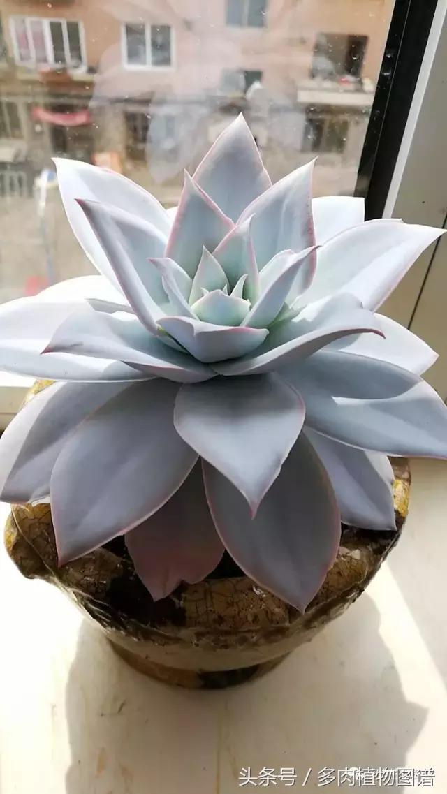 入坑半年的经历,入坑五个月总结