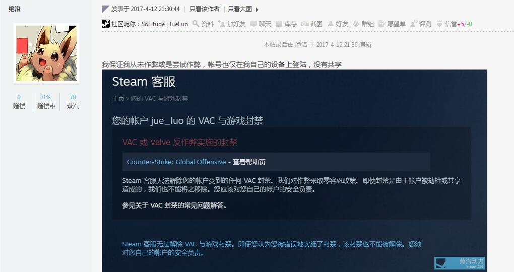 csgo被vac封禁可以上游戏吗,csgo完美莫名其妙被vac封禁