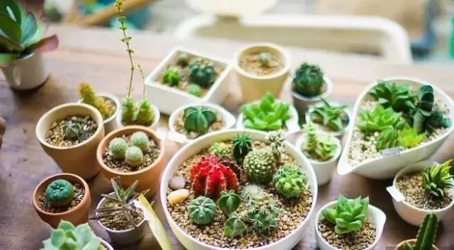 天津五一亲子免费游推荐,天津亲子活动排行榜