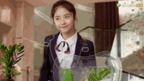 狐狸的夏天电视剧好看吗,狐狸的夏天电视剧高甜部分