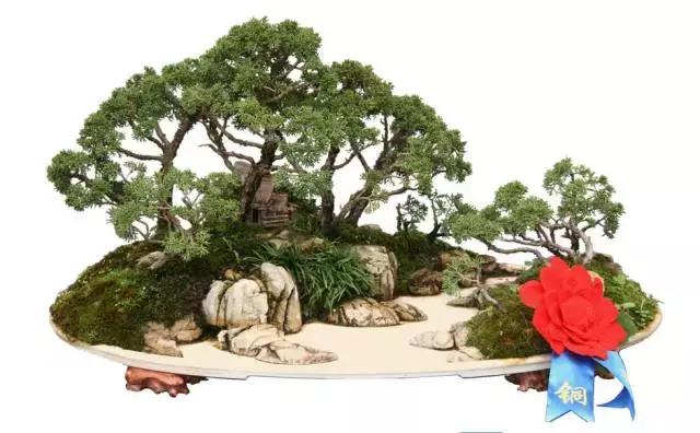 世界上最美的盆景有哪些,世界上最美的盆景