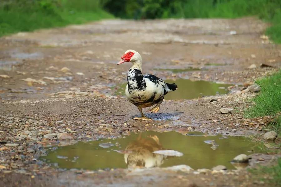元宝山下,山水云间,悠悠闲云时光,恰好那时我也在