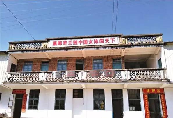 女排冠冕下的本色茶人