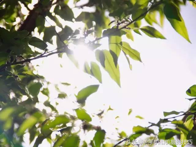 为什么你拍出来的照片很不好看,为什么拍出来的照片反过来就难看