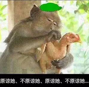 收到的奇葩礼物有哪些,这些你不知道的奇葩礼物