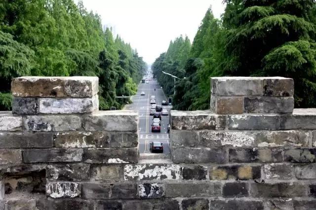 不花一分钱游遍美景,不花一分钱游遍全世界