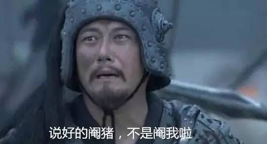 母荷兰猪可以做绝育手术吗,两只不同的荷兰猪可以绝育吗