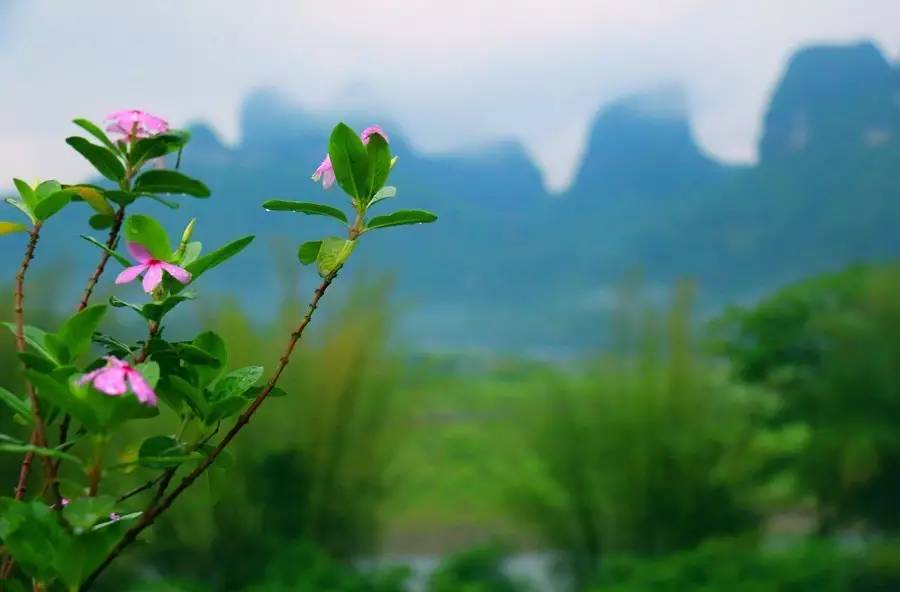 元宝山下,山水云间,悠悠闲云时光,恰好那时我也在