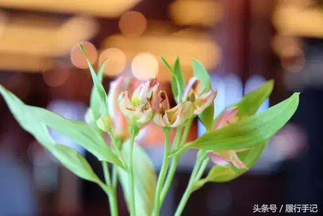 极度深寒邮轮游,拥抱大海和蓝天搭上邮轮去旅行