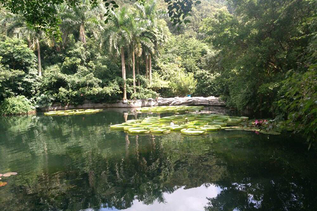 南宁市排名前三旅游景区全披露