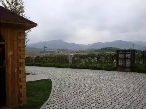 一组张裕爱斐堡酒庄实景图,蓝裕文化