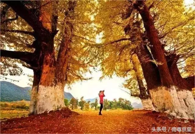 清远连州十大最好玩的景点,连州古城古村风景