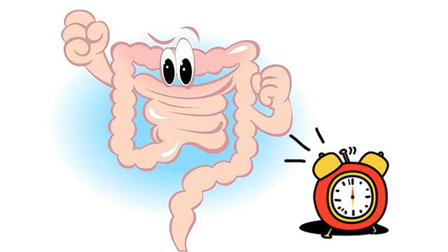 晨起腹泻，便不净？当心4种病！2个小偏方，轻松搞定！