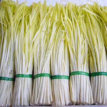 夜雨剪春韭图片,夜雨剪春韭的全诗