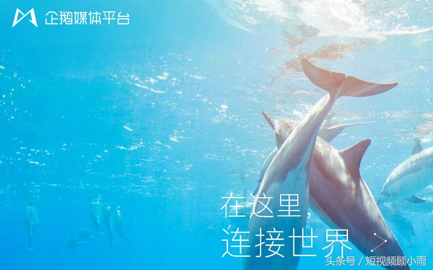 粉丝转移吸粉方案,粉丝3000怎样快速吸粉