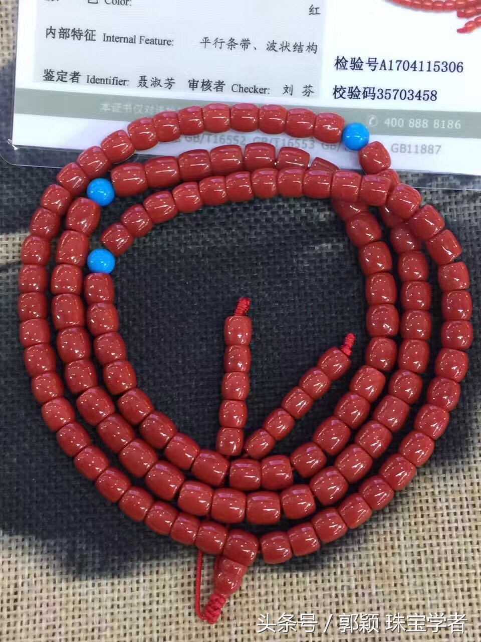 阿卡牛血红珊瑚自己戴可以吗,顶级阿卡牛血红珊瑚是哪个产地