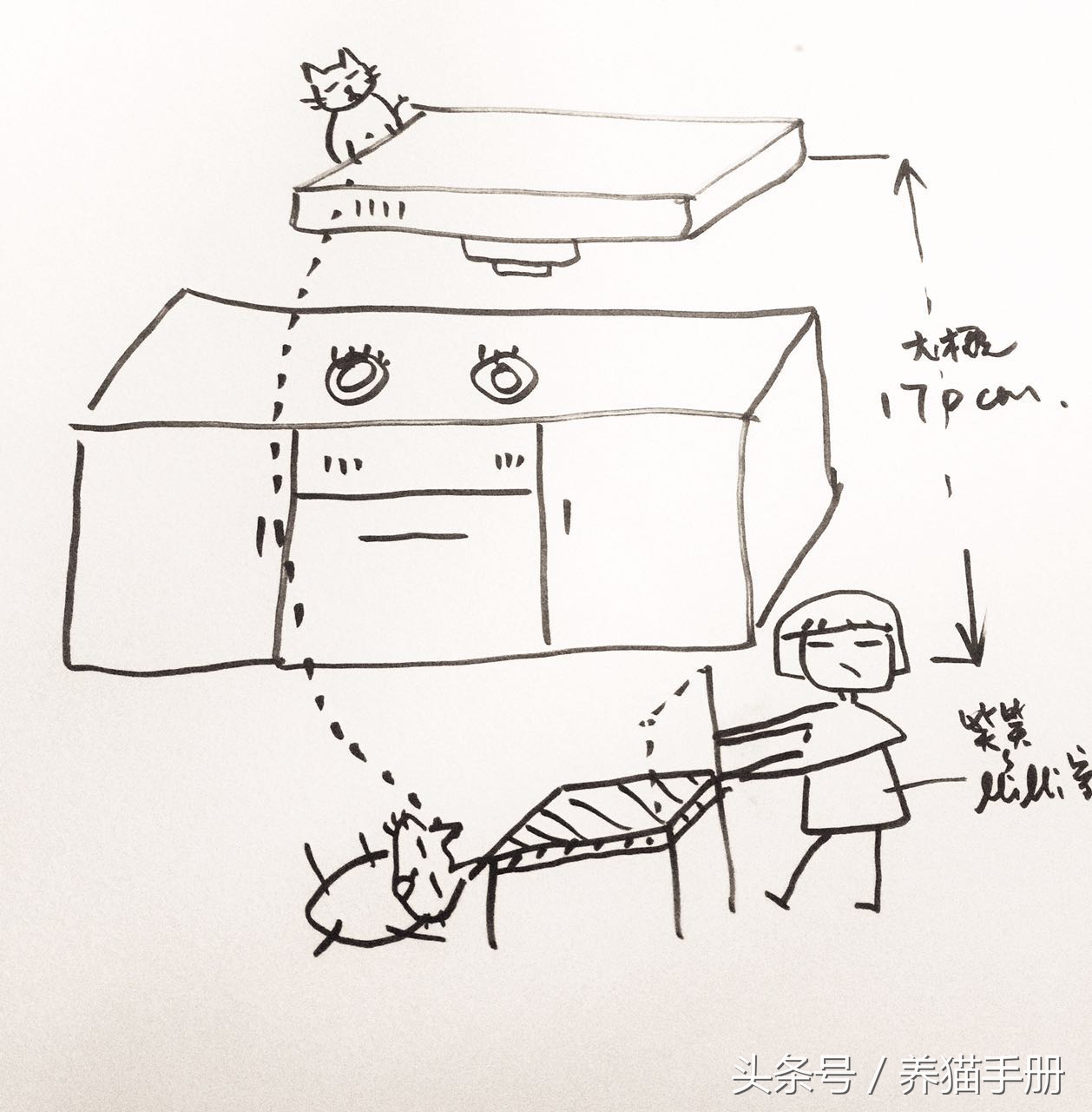 养猫常见的疾病和解决方法,猫咪常见疾病和救治