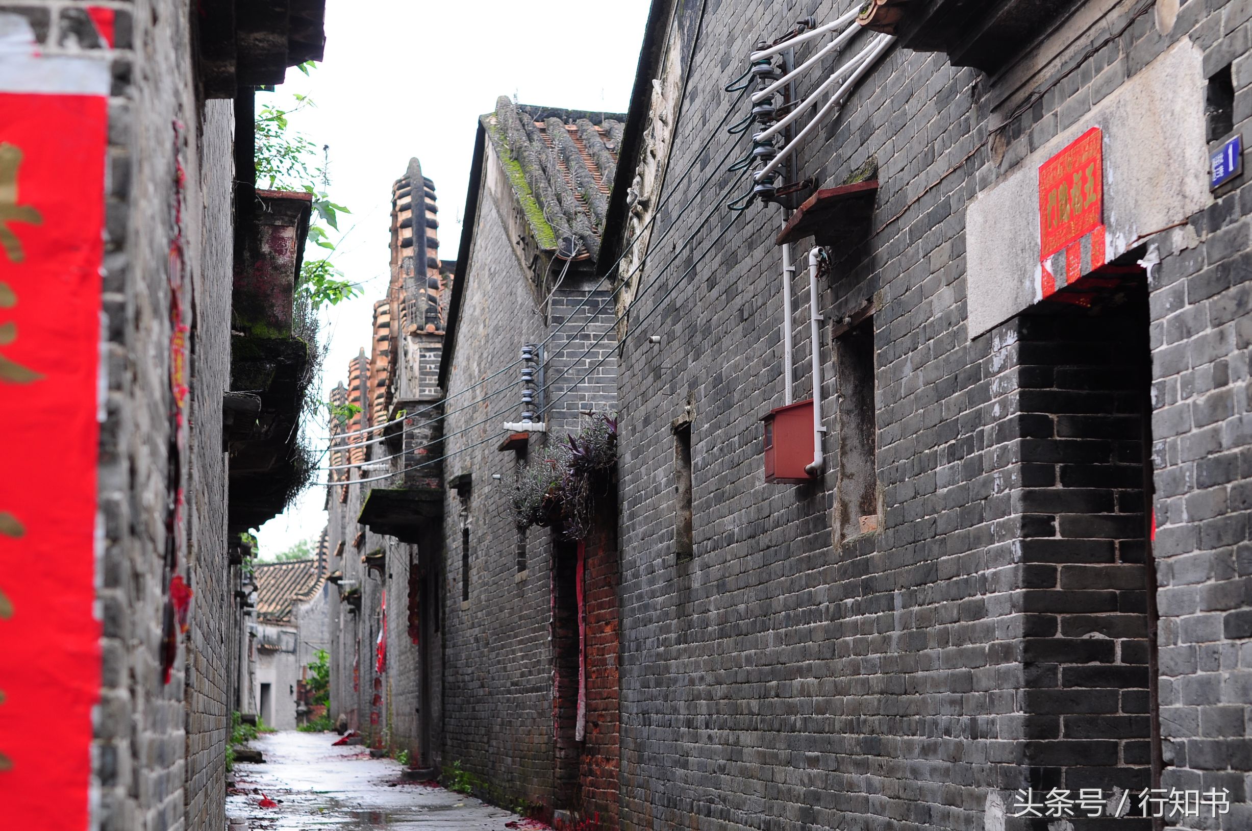 深圳旅游必去十大景点动物园,广州一日游最佳去处动物园