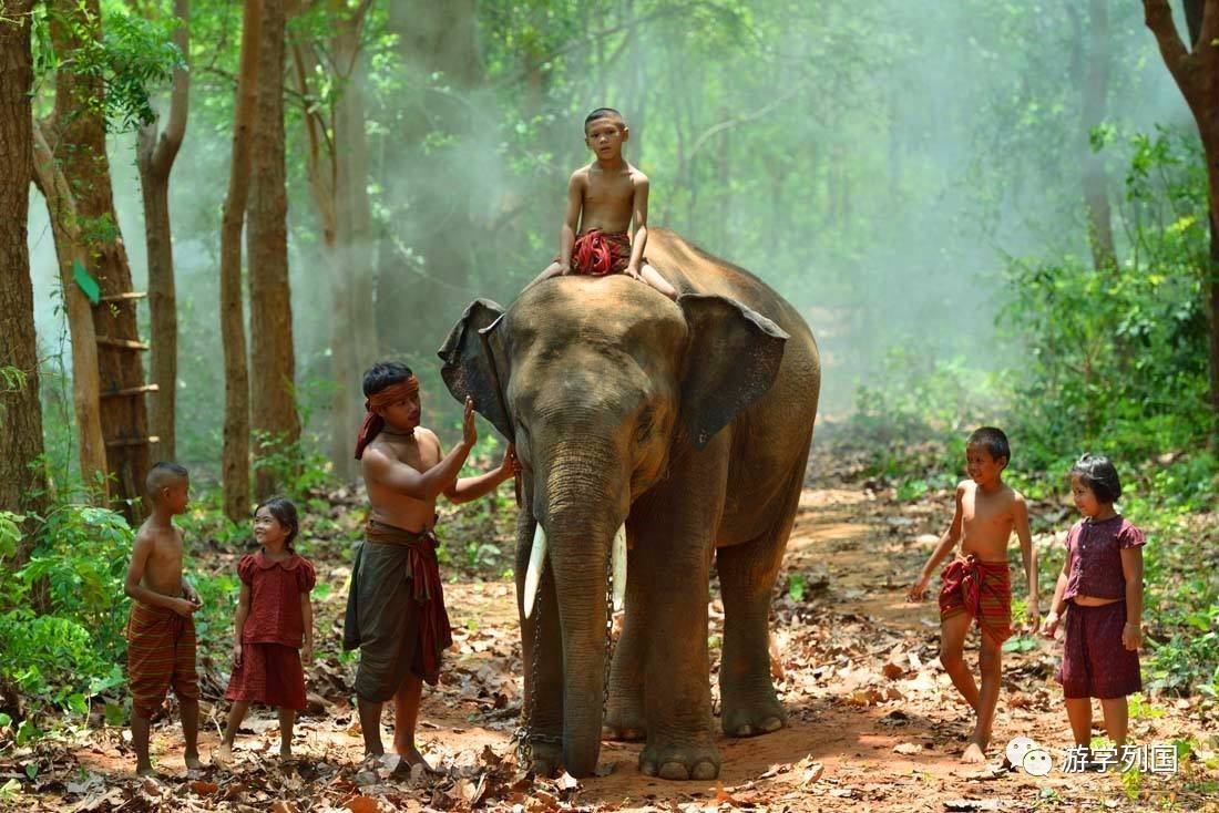 泰国旅行不一样的泰国风情,2024泰国游学之旅