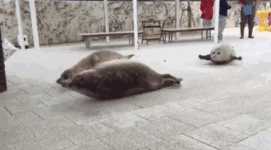 22号线南延线南沙客运港开通时间,18号线南延段到南沙要多久