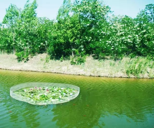 澶╂触婊ㄦ捣娌欓洉娴锋磱涔愬洯,澶╂触娴锋磱涔愬洯娌欓洉