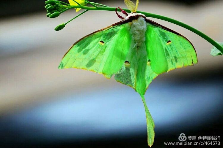 走过四季夏天最美,走过春夏美丽的秋冬