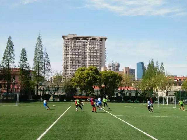 上海同济足球队和华东师范足球队,华东师范足球队水平