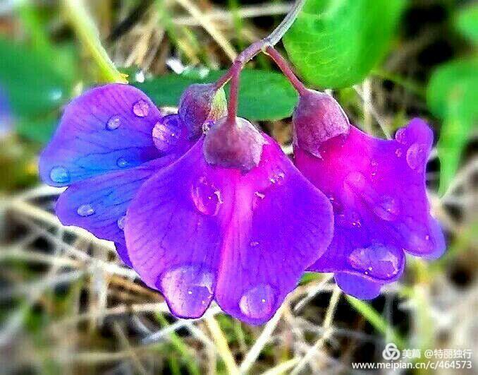 走过四季夏天最美,走过春夏美丽的秋冬