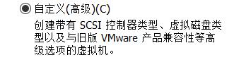 vmware创建win10操作系统虚拟机,vmware创建winxp系统