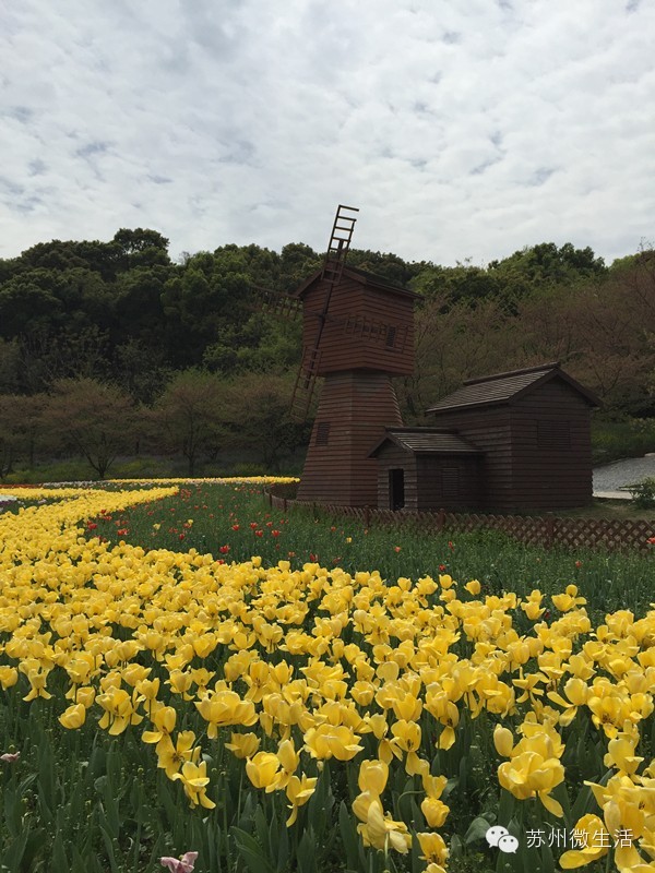 苏州最值得去的五个景点,苏州最值得去的10个景点排名