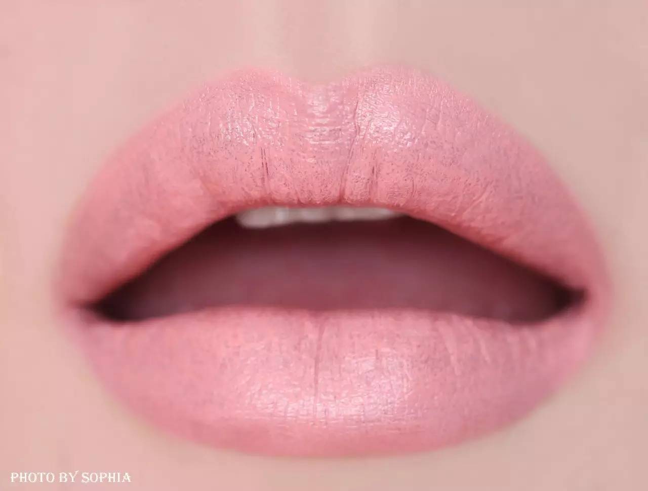 dg丝绒系列,dg新品