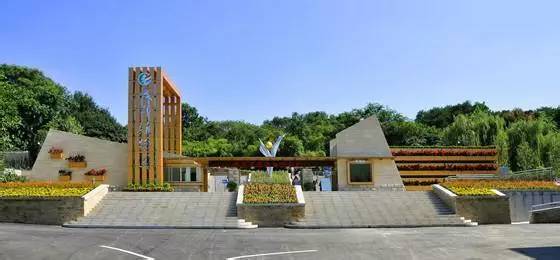 成都brt快速公交未来规划,成都brt专用道可以走吗