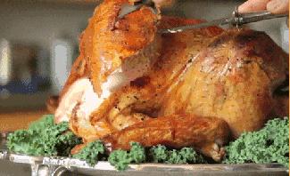 可以治病的菜,健康养生必备食补菜