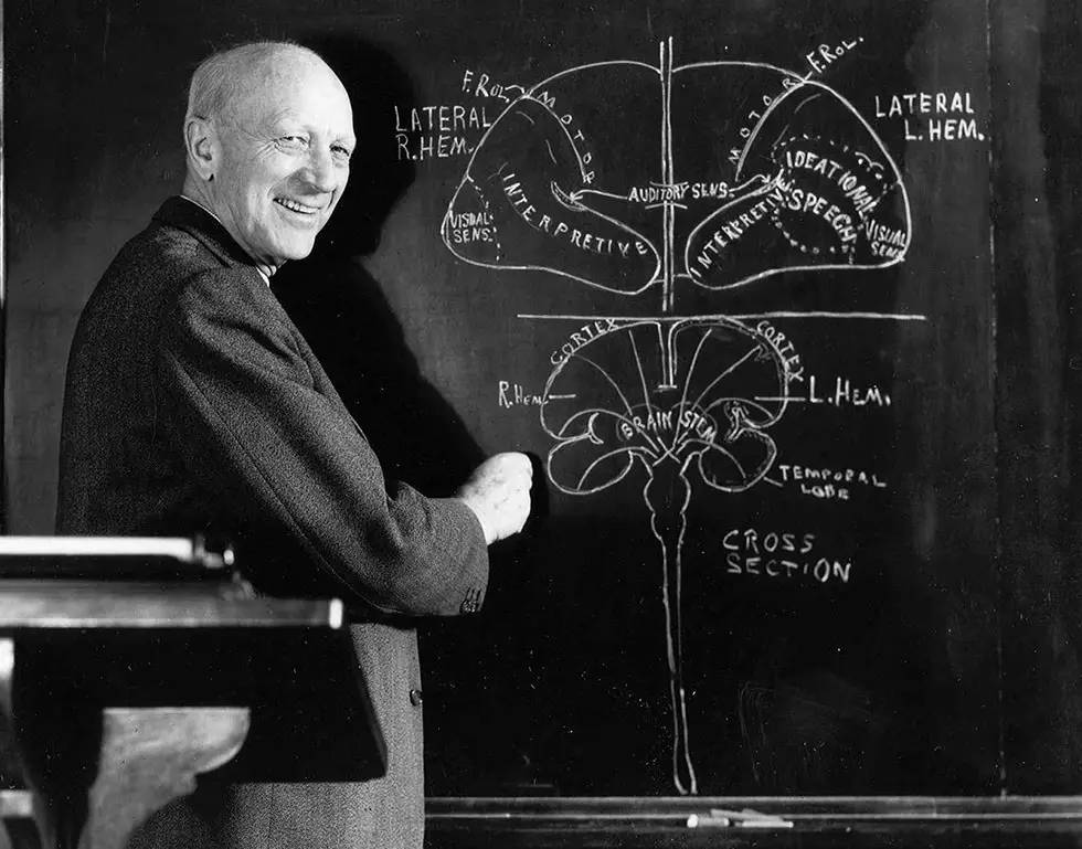 耳鬓厮磨的最佳解释,耳鬓厮磨是什么感觉